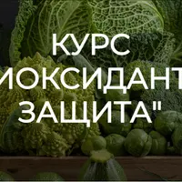 Антиоксидантная защита