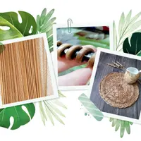 Из бумаги в лозу, первая ступень обучения