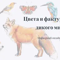 Цвета и фактуры дикого мира