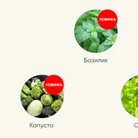 Рассада без досады. Овощная рассада. Новые культуры