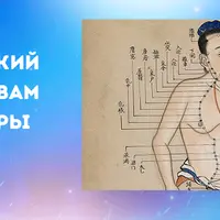 Практический курс основам акупунктуры. Модуль 1