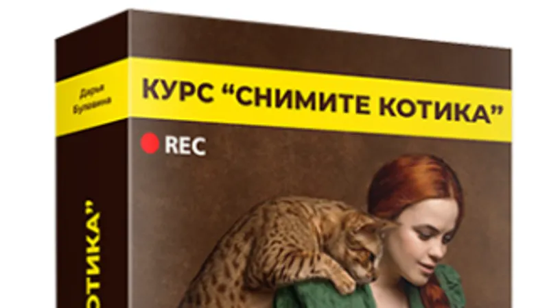 Снимите котика. Курс по съёмке видео на смартфон