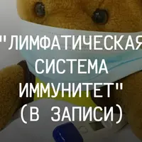Лимфатическая система. Иммунитет