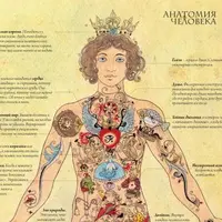 Оккультная анатомия. Часть 1