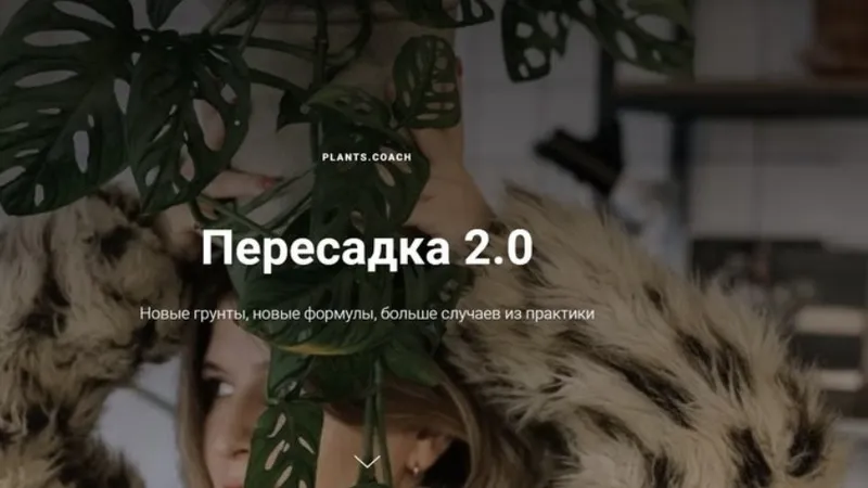 Пересадка 2.0