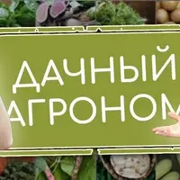 Видеоуроки Розы