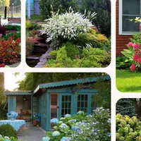 Сад непрерывного цветения