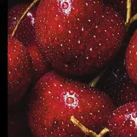 Delicious Movie. Курс по видеосъёмке еды