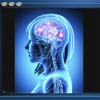 Видеосистемы Внутреннего Сервиса. 2. Установщик программ. Схема Гипермозг. База