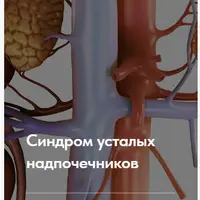 Лечебный протокол "Синдром усталых надпочечников"