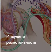Лечебный протокол "Инсулинорезистентность"