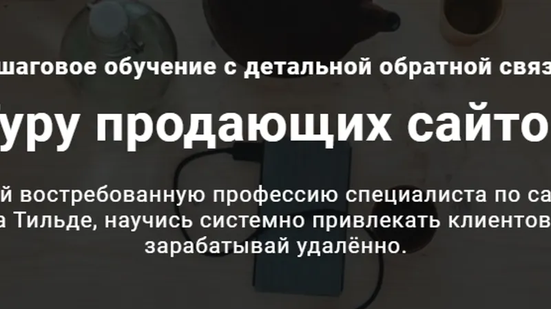 Гуру продающих сайтов