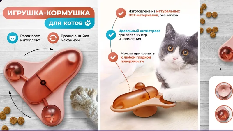 Миниатюра 2