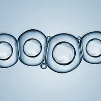 Превращение