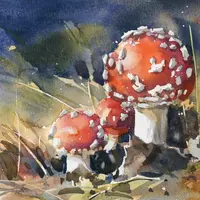 Воспоминания о лете