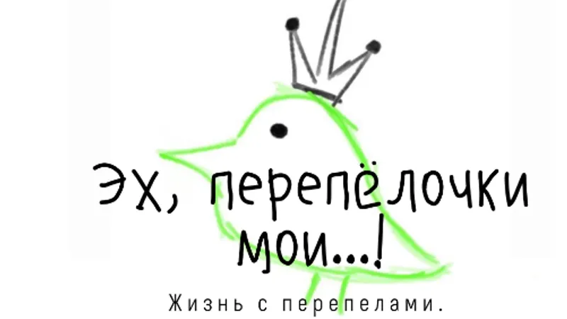 Эх, перепелочки мои!