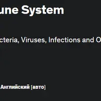 Как естественным образом укрепить иммунную систему за 10 простых шагов