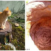 Коврик-Крепыш и его команда