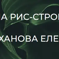 Система РИС-стройность