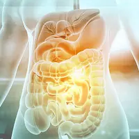 Восстановление желудочно-кишечного тракта