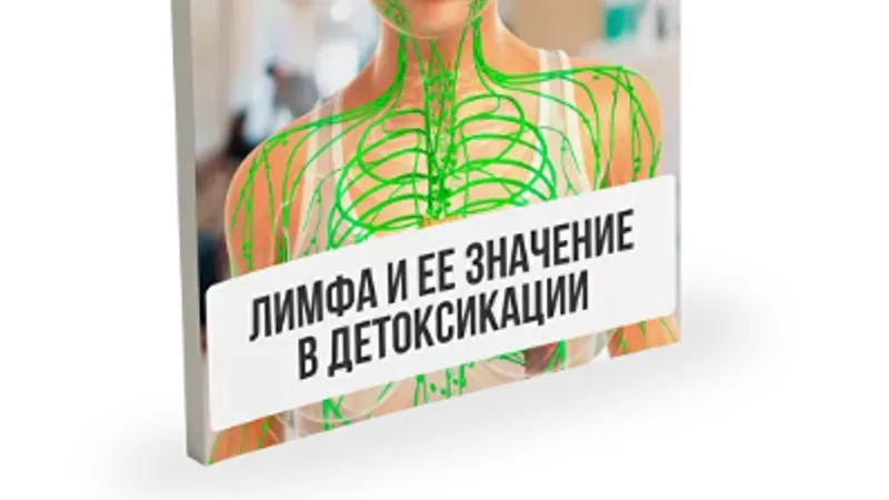 Лимфа и её значение в детоксикации