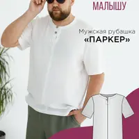 Мужская рубашка Паркер