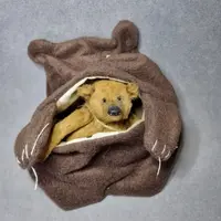 Мишка-Талисман