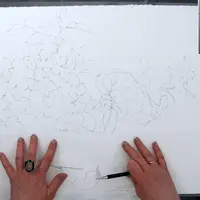 Веточки яблони акварелью