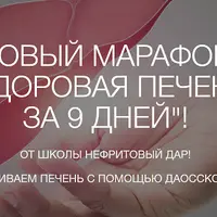 Здоровая печень за 9 дней