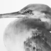 Выразительный рисунок углем