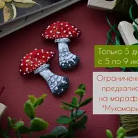 Марафон Мухоморы