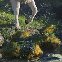 3D-окружения: Создавайте потусторонние фантастические земли