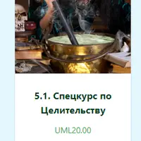 Спецкурс по Целительству