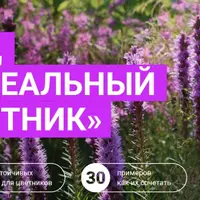 Гид Идеальный цветник