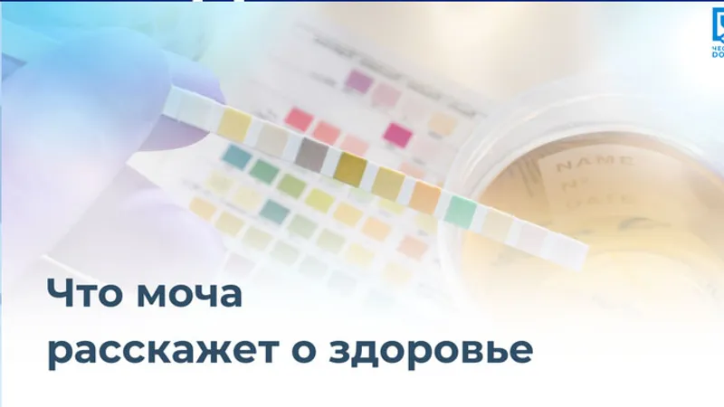 Что моча расскажет о здоровье