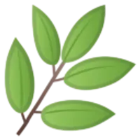 Лечение детских заболеваний методами аюрведы