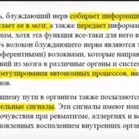 Практика блуждающего нерва