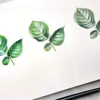 Реалистичные листья