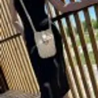 Сумка 4в1 ZigZag