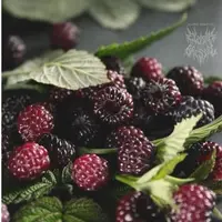 Ягодный курс