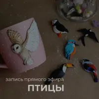 Птицы