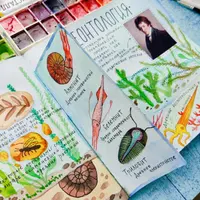 Окружающий мир. 13 блок