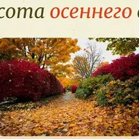 Красота осеннего сада