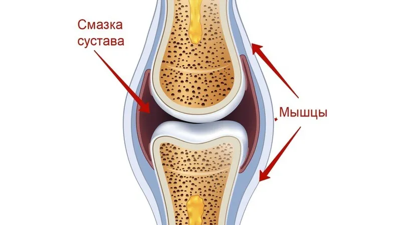 Мини-комплекс упражнений Легко ходим, быстро встаем