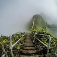 Архетипы в искусстве. Лестница и башня