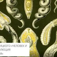 Малярия, что это такое? Человек и паразиты