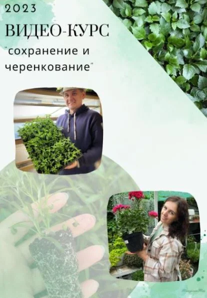 Обложка курса
