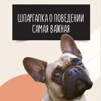 Шпаргалка о поведении. Самая важная