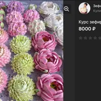 Зефирная флористика