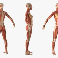 Изотоническая гимнастика. Подтянутый живот, талия и ягодицы